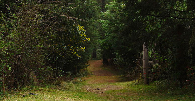 2. Ajusco