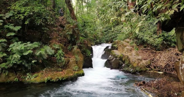 Sigue leyendo Pancho Poza, una maravilla natural cerca de la CDMX