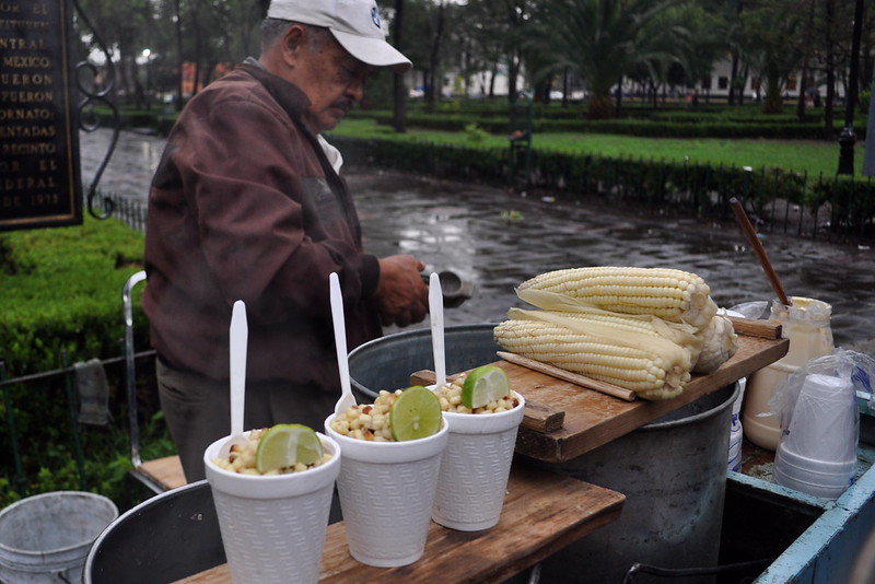 Elotes