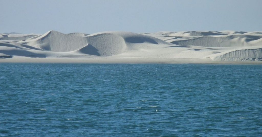 Sigue leyendo Isla Altamura, el lugar más bello de Sinaloa