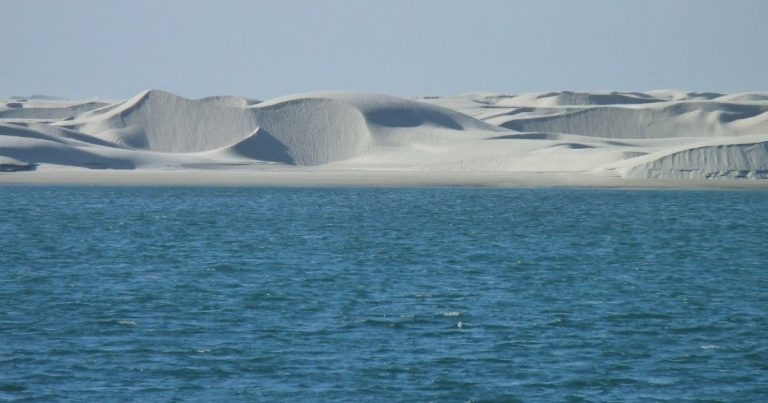 Sigue leyendo Isla Altamura, el lugar más bello de Sinaloa