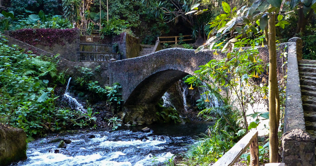 Sigue leyendo Parque Nacional Barranca del Cupatitzio, un destino majestuoso