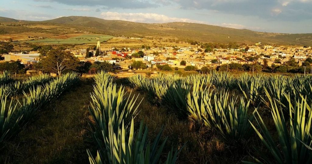 Sigue leyendo TODO lo que puedes hacer en Tequila, Jalisco