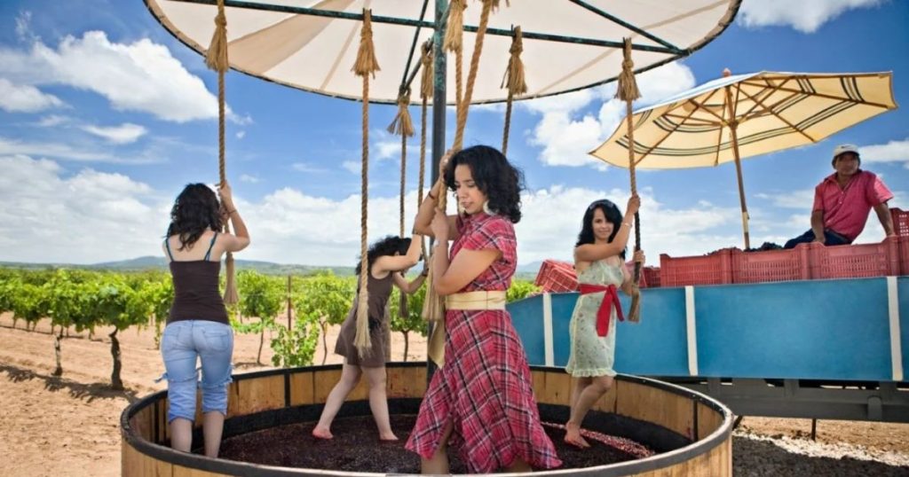 Sigue leyendo 5 grandes y perfectas razones para lanzarte a Querétaro con la familia