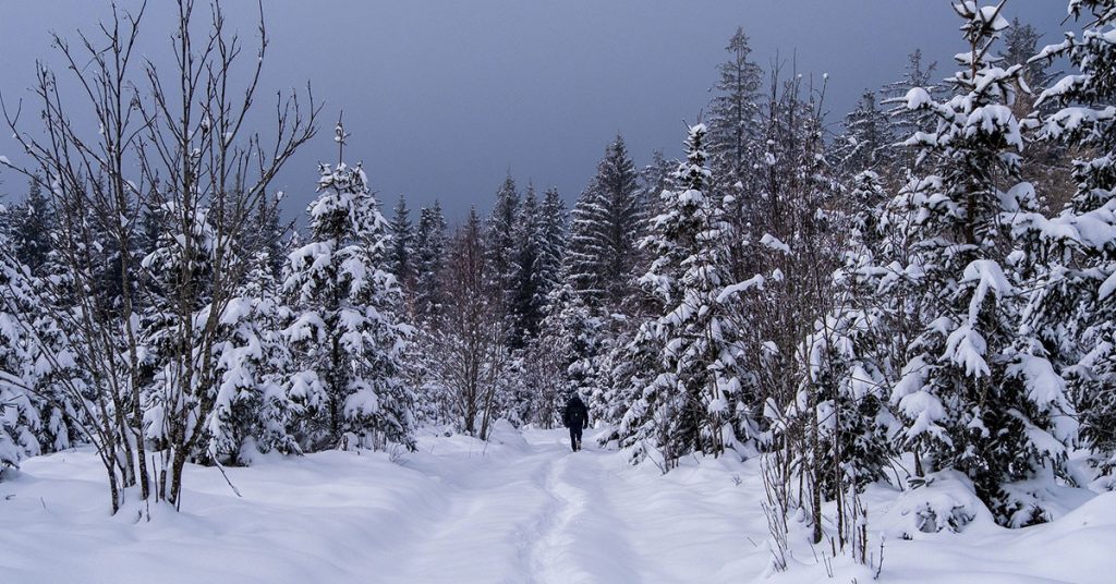 Sigue leyendo Destinos para ver nieve en México