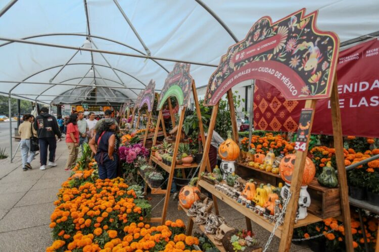 Sigue leyendo  Lugares para celebrar Halloween y Día de Muertos