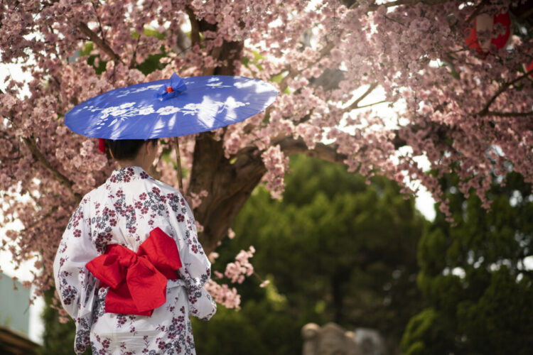 Sigue leyendo Esta es la mejor temporada para visitar Japón