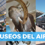 ¿Conocías estos museos en el AIFA?