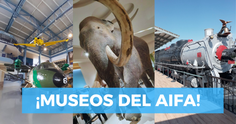 Sigue leyendo ¿Conocías estos museos en el AIFA?