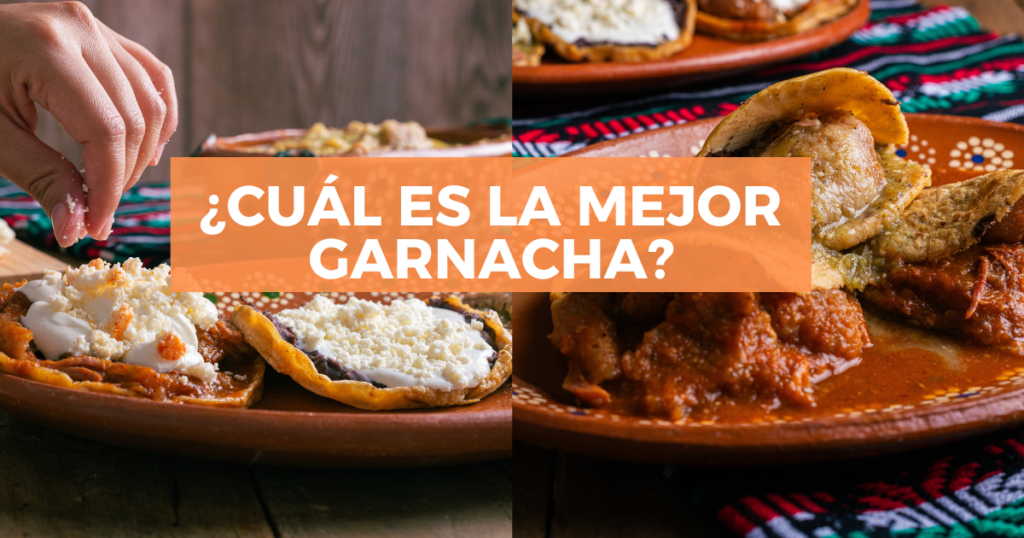 Sigue leyendo Top 10 mejores garnachas del país