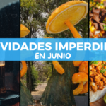 Eventos imperdibles en CDMX este mes