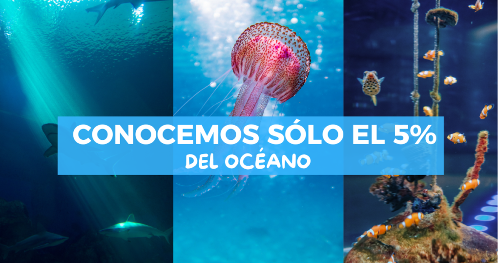 Los 10 datos más perturbadores del océano