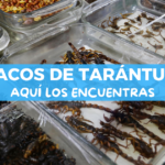 Experiencias raras que sólo puedes vivir en CDMX