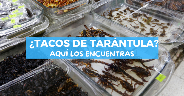 Sigue leyendo Experiencias raras que sólo puedes vivir en CDMX