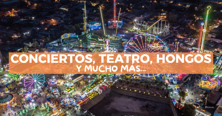 Sigue leyendo Festivales de agosto en México: eventos culturales cerca de ti