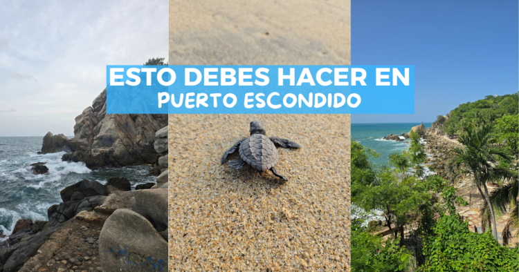 Sigue leyendo Puerto Escondido: Lo que nadie te dice de este paraíso oaxaqueño