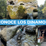 Los Dínamos CDMX: qué hacer, cómo llegar y cuánto cuesta