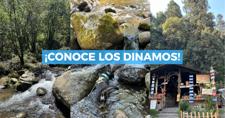 Sigue leyendo Los Dínamos CDMX: qué hacer, cómo llegar y cuánto cuesta