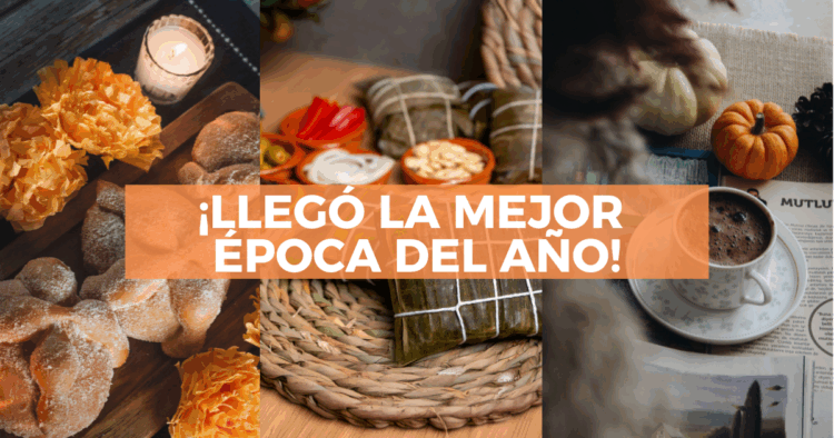 Sigue leyendo Antojitos de octubre en México: qué comer por estado