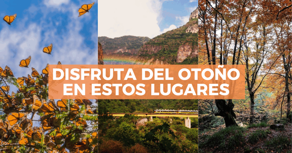 Sigue leyendo Destinos mexicanos donde el otoño se siente de verdad