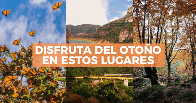 Sigue leyendo Destinos mexicanos donde el otoño se siente de verdad