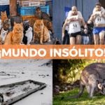 Datos insólitos sobre algunos países del mundo
