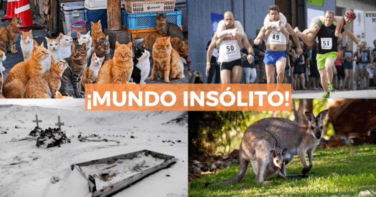 Sigue leyendo Datos insólitos sobre algunos países del mundo