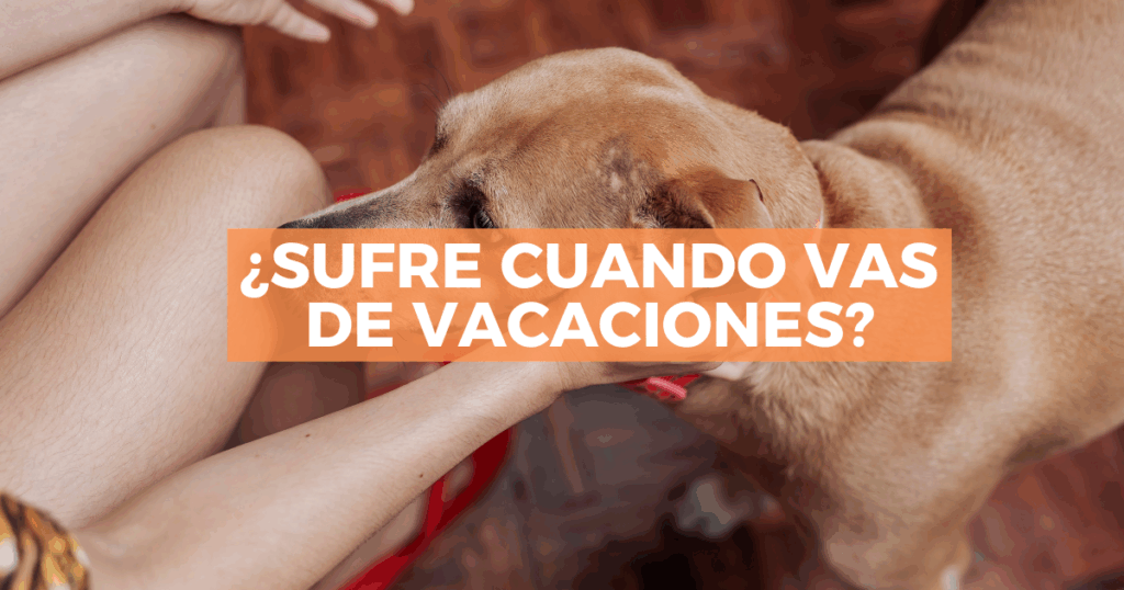 Sigue leyendo Lo que tu mascota siente cuando te vas de vacaciones