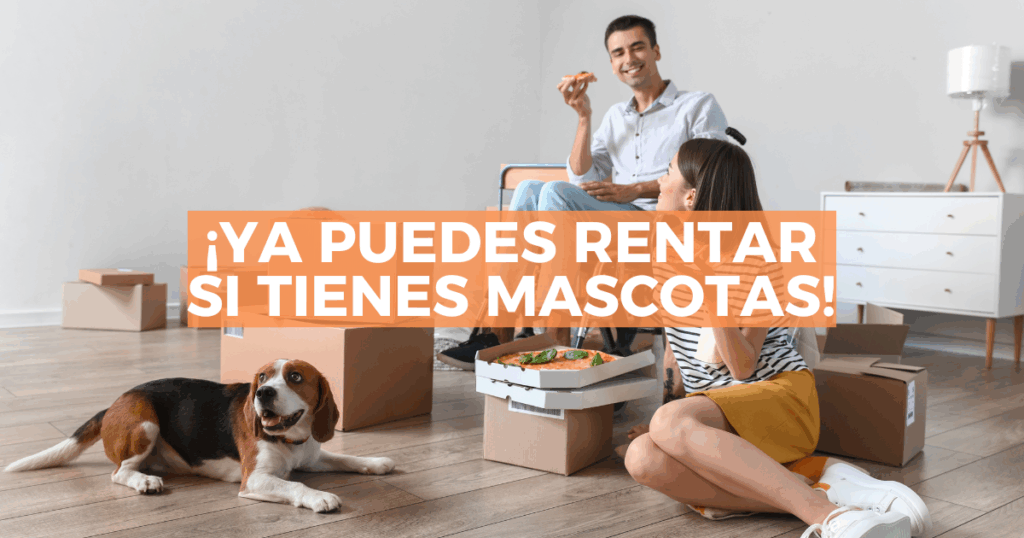 Sigue leyendo Ley en CDMX prohíbe negar renta por tener mascotas o niños