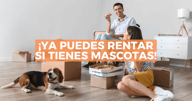 Sigue leyendo Ley en CDMX prohíbe negar renta por tener mascotas o niños