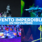 Qué hacer en CDMX en noviembre 2025