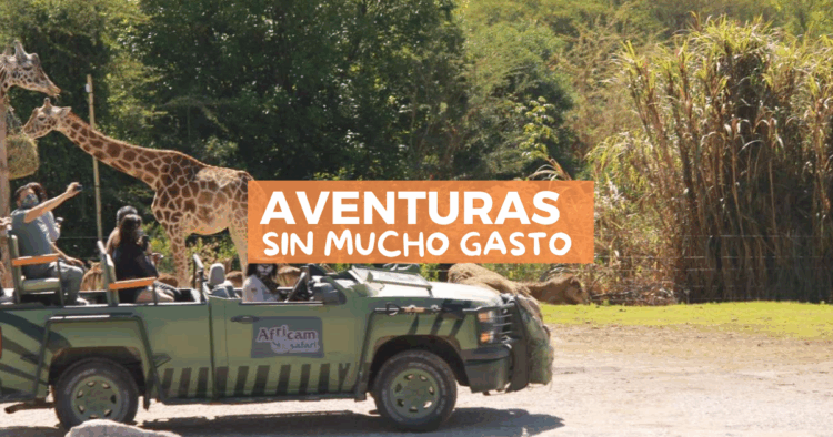 Sigue leyendo Lugares para visitar en diciembre sin endeudarte en 2026